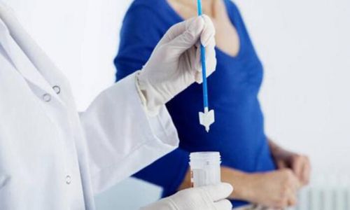 Pap Smear Testi